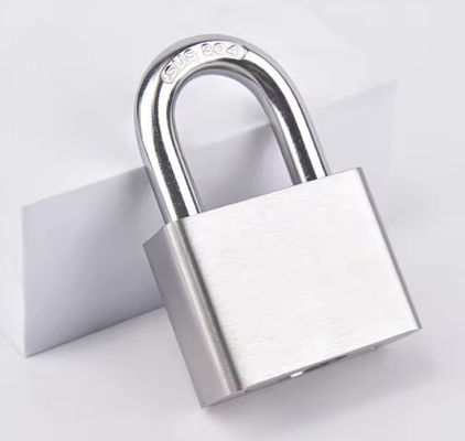 30 mm lucchetto resistente alle intemperie in acciaio inossidabile con chiavi simili a una fascia corta personalizzata
