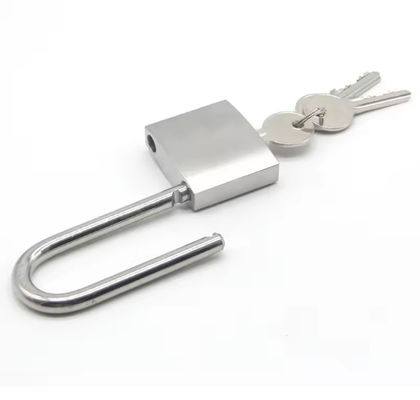 Serratura resistente alle intemperie da 20 mm a 50 mm con chiavi in acciaio inox