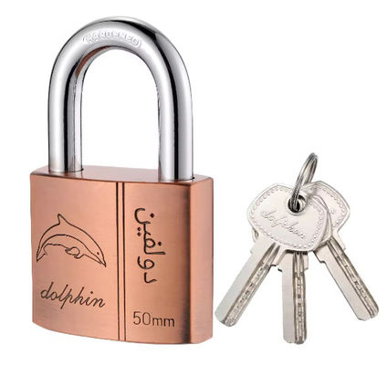 Padlock in rame per abiti da ginnastica resistenti alle intemperie con 3 chiavi 50mm