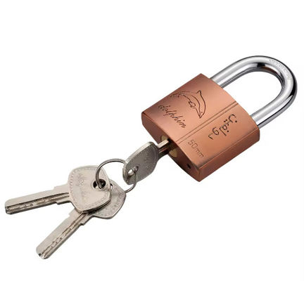 Padlock in rame per abiti da ginnastica resistenti alle intemperie con 3 chiavi 50mm