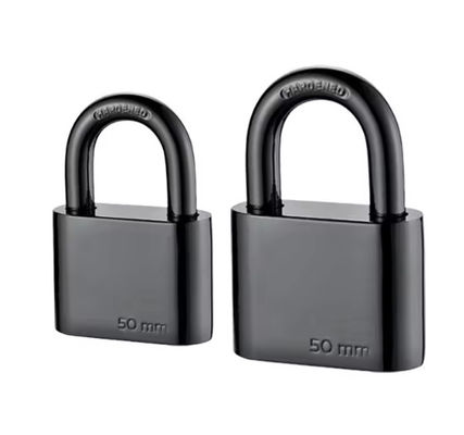 Serrature di ferro di alta sicurezza con chiavi simili a 40 mm elettroforetica nera