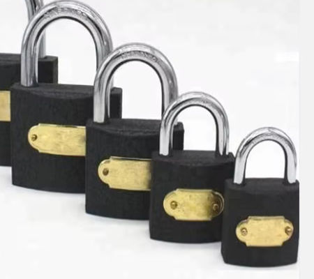 Serratura resistente alle intemperie Ferro 20mm 25mm 30mm ODM